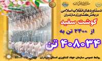 روایت دستاوردهای انقلاب اسلامی در کشاورزی استان مازندران/ گوشت سفید